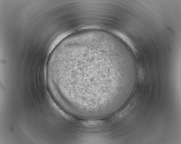 X0000090601290200708071135