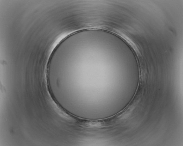 X0000090601291200708071135