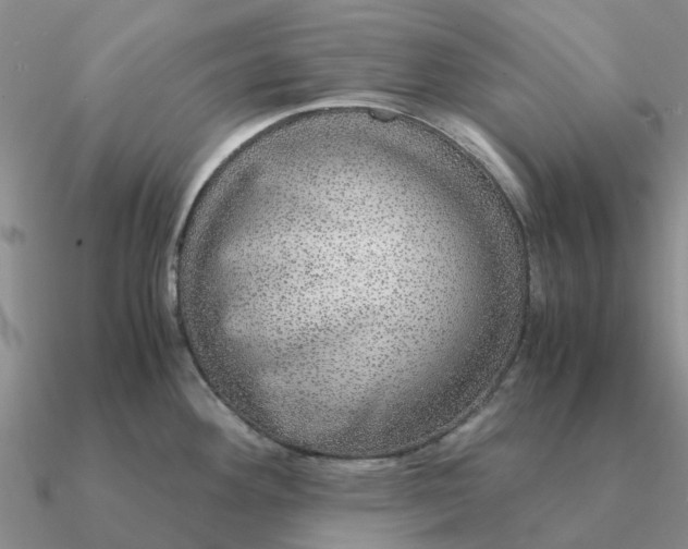 X0000090601292200708071135