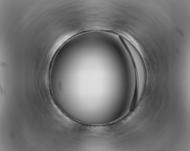 X0000090601293200708071135