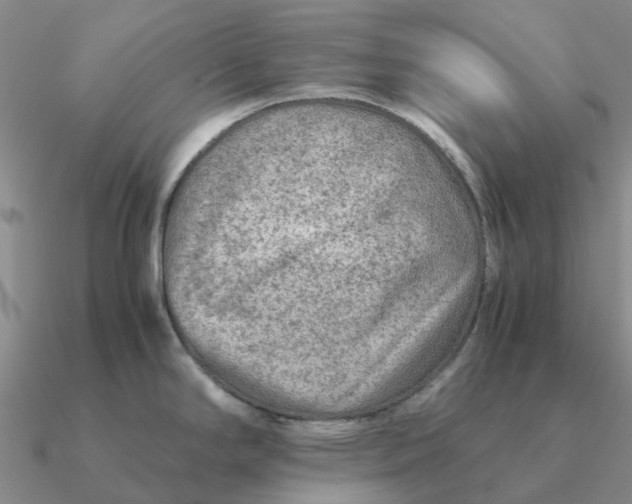 X0000090601294200708071135