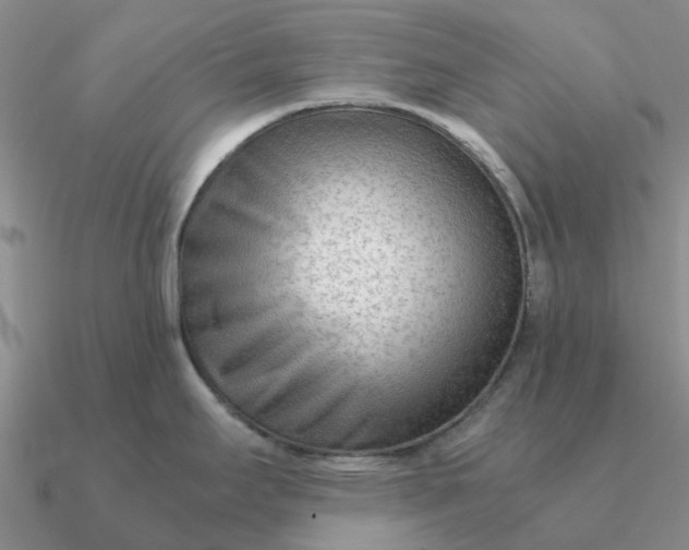 X0000090601295200708071135