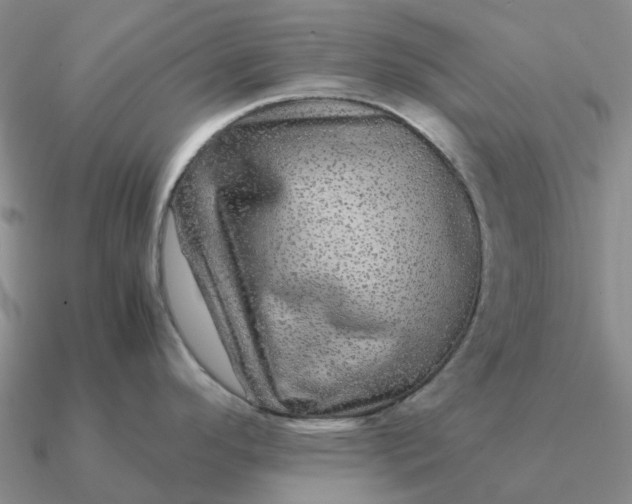 X0000090601296200708071135