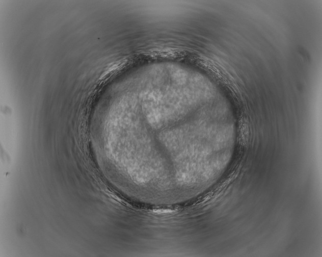 X0000090601297200708071134