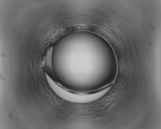 X0000090601298200708071134