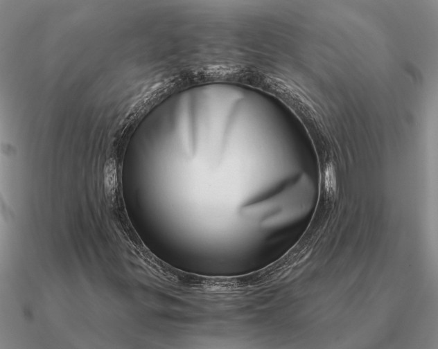 X0000090601299200708071134