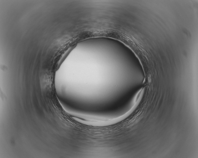 X0000090601300200708071134