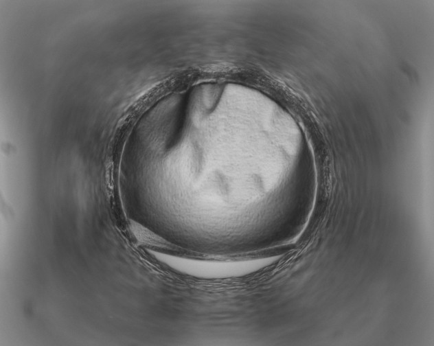 X0000090601301200708071134