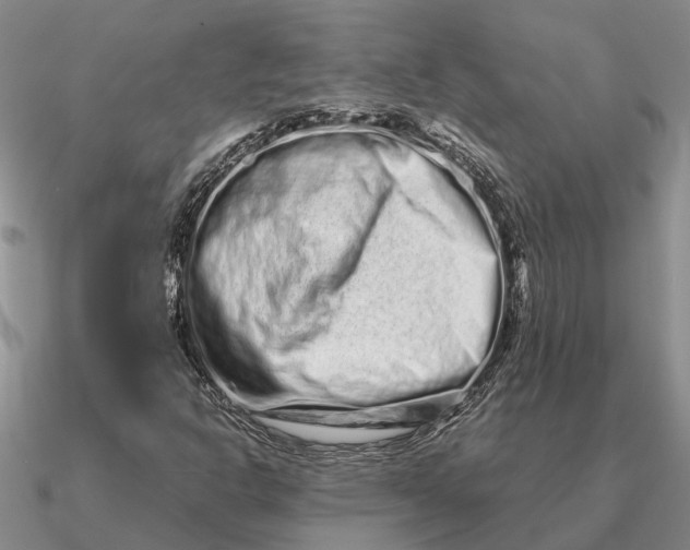 X0000090601302200708071134