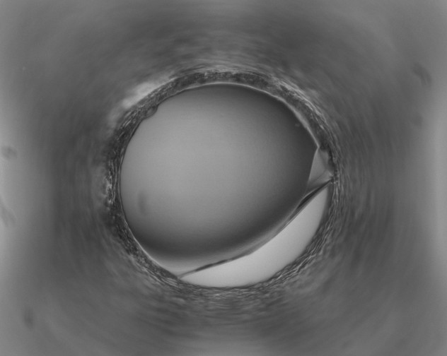 X0000090601303200708071134