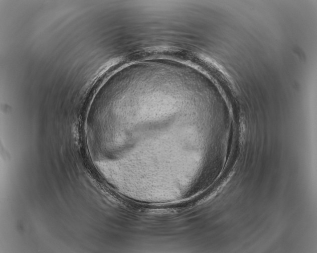 X0000090601305200708071134