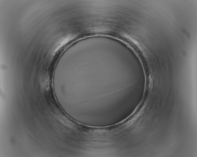 X0000090601306200708071134