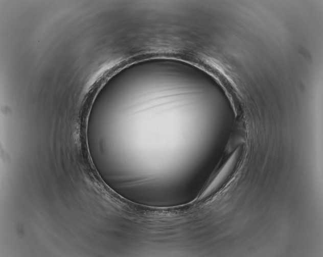 X0000090601307200708071134