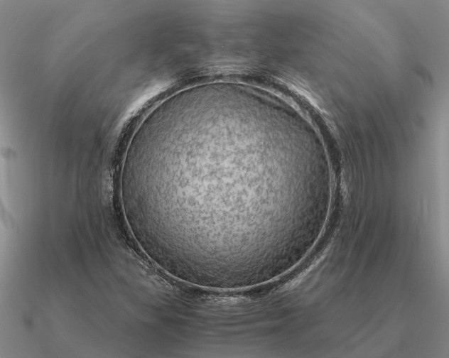 X0000090601309200708071134