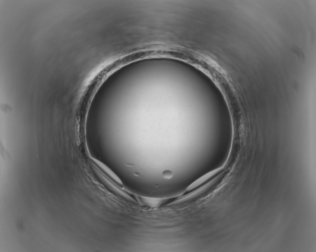 X0000090601310200708071134