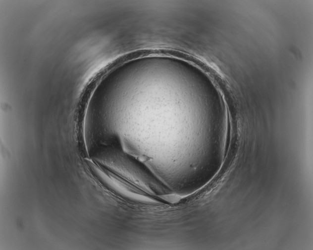 X0000090601311200708071134