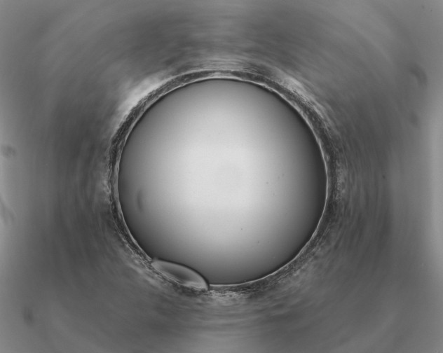 X0000090601312200708071134