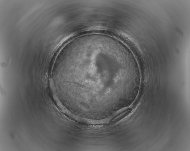 X0000090601313200708071134