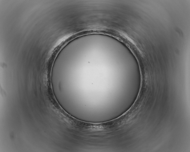 X0000090601315200708071134