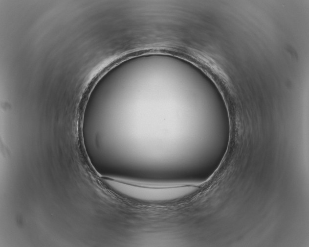 X0000090601316200708071134