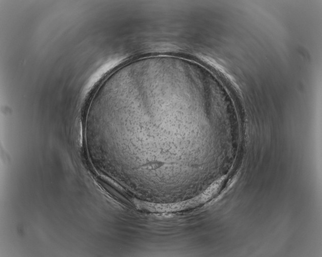 X0000090601317200708071134