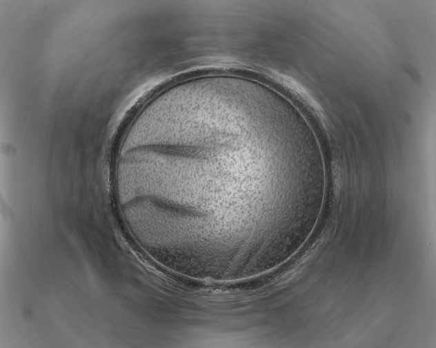 X0000090601318200708071134