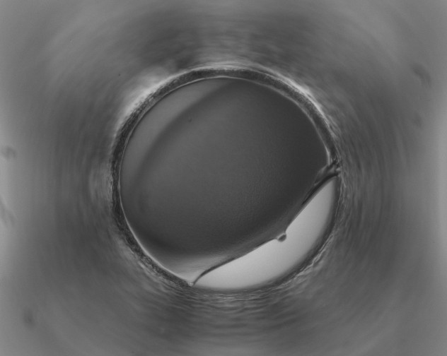 X0000090601319200708071134