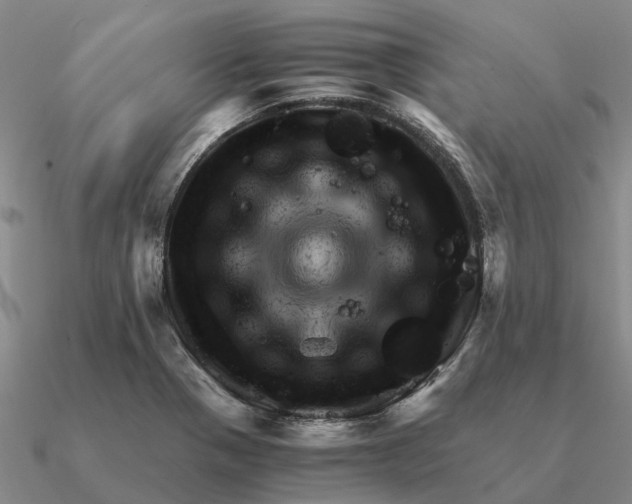 X0000090601321200708071134