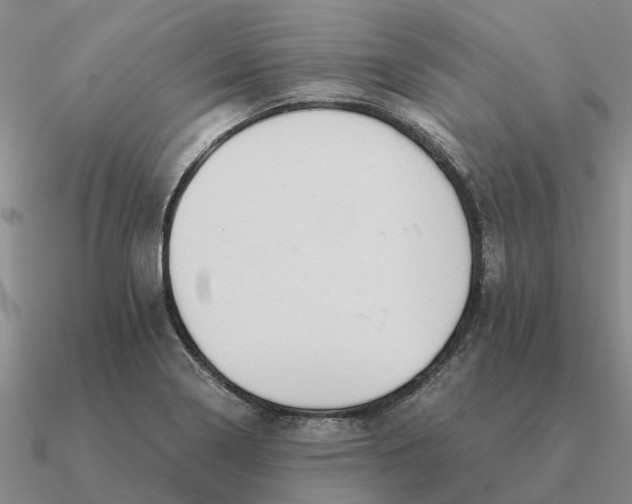 X0000090601322200708071134