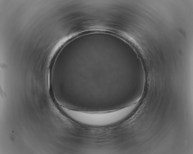 X0000090601323200708071134