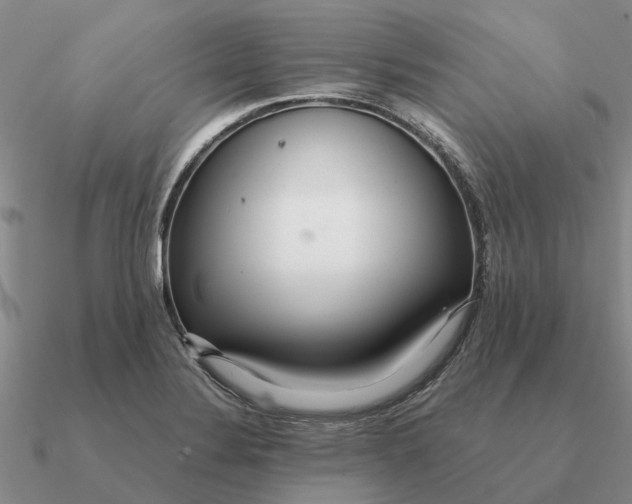 X0000090601324200708071134