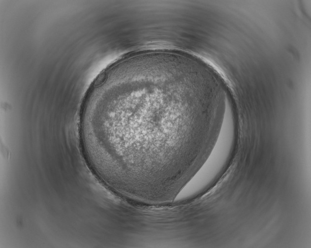 X0000090601325200708071134