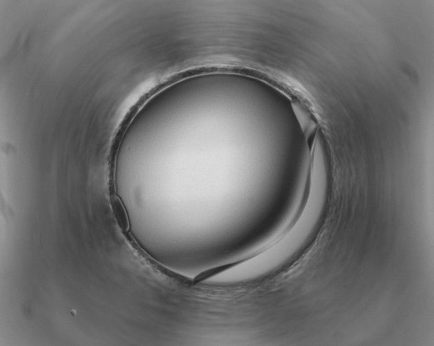 X0000090601326200708071134