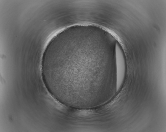 X0000090601327200708071134