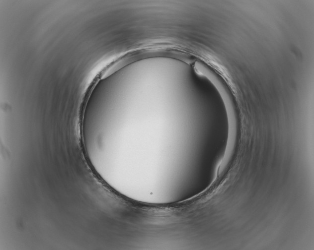 X0000090601328200708071134