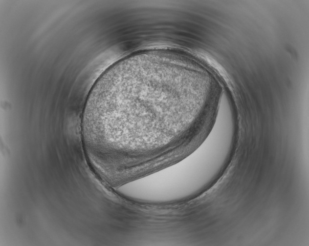 X0000090601329200708071134