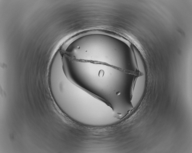 X0000090601332200708071134