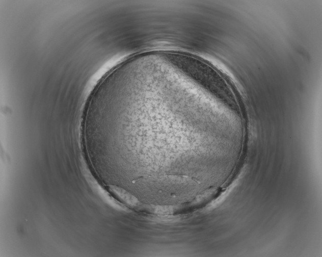 X0000090601333200708071134