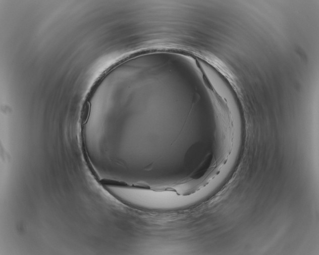 X0000090601334200708071134