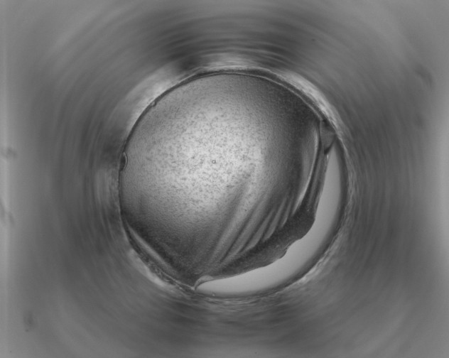 X0000090601337200708071134