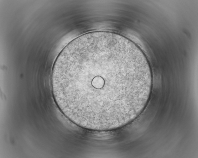 X0000090601338200708071134