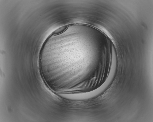 X0000090601339200708071134