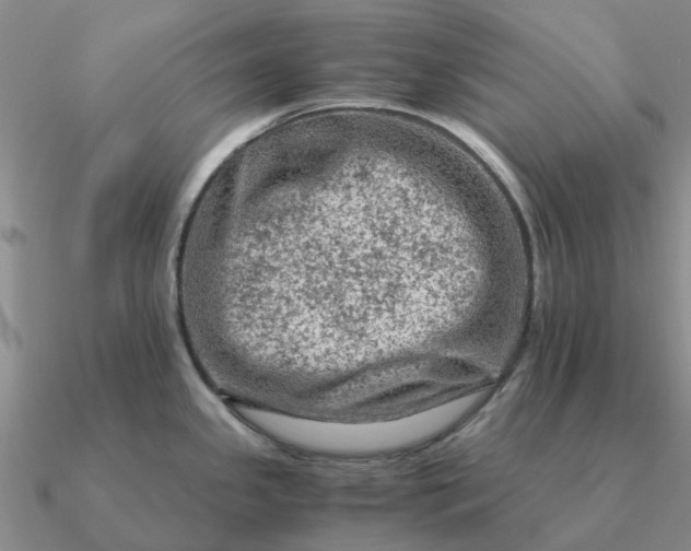 X0000090601341200708071134