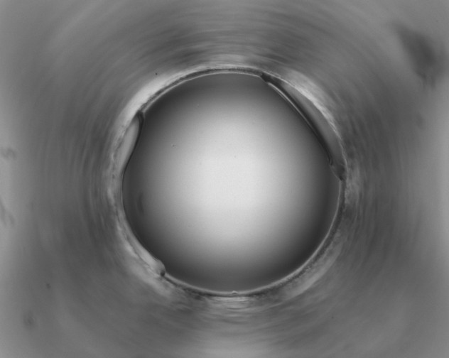 X0000090601342200708071134