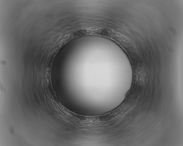 X0000090601346200708071134