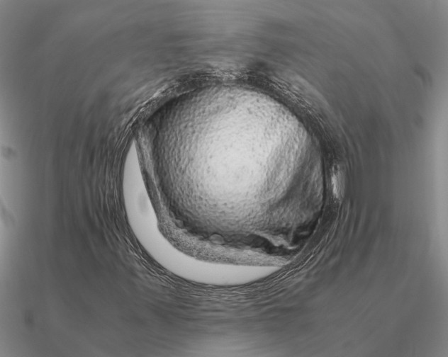 X0000090601347200708071134