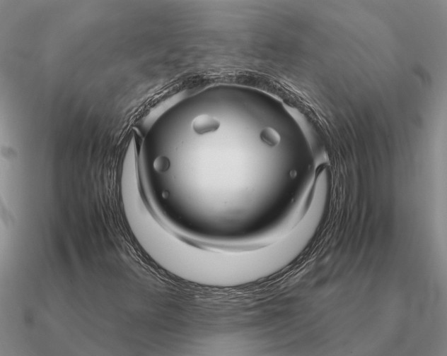 X0000090601348200708071134