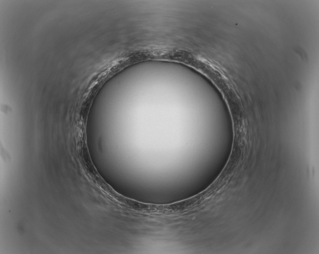 X0000090601349200708071134