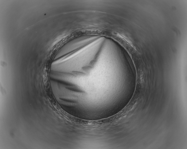 X0000090601350200708071134