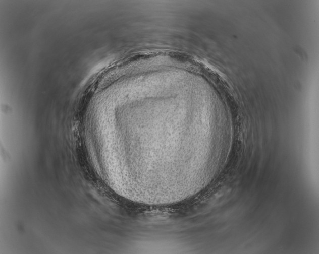 X0000090601351200708071134